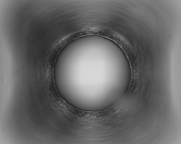 X0000116380773200912091414