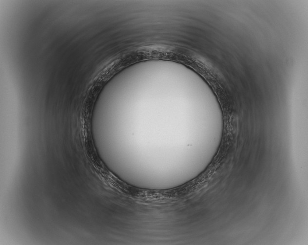 X0000116380774200912091414