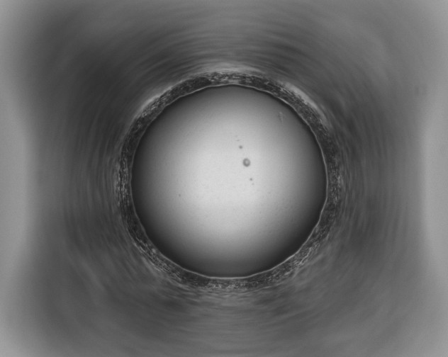 X0000116380775200912091414