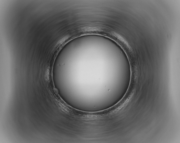 X0000116380777200912091414