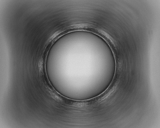 X0000116380778200912091414