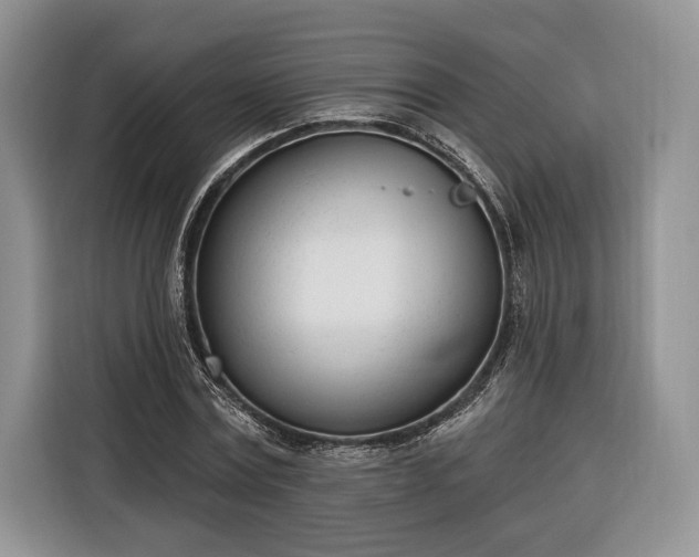 X0000116380779200912091414