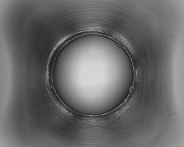 X0000116380780200912091414