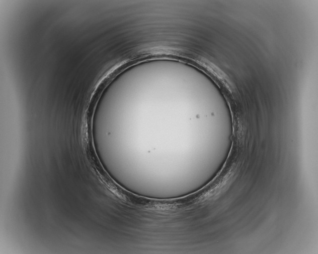 X0000116380782200912091414