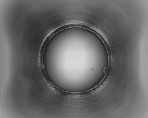 X0000116380783200912091414