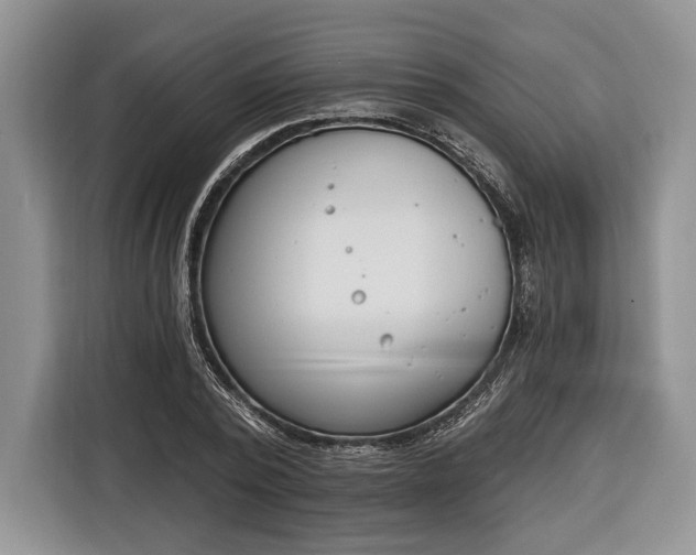 X0000116380784200912091414