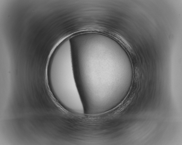 X0000116380788200912091413