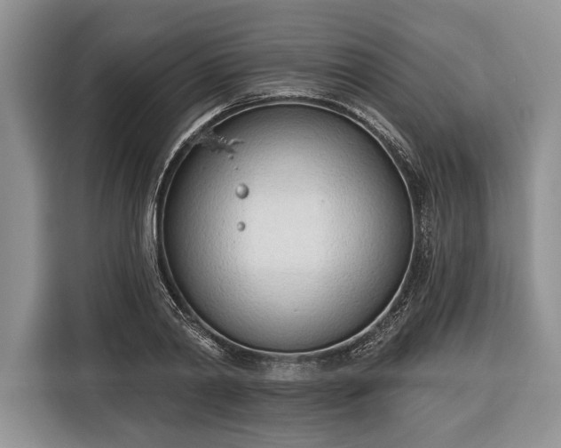 X0000116380790200912091413