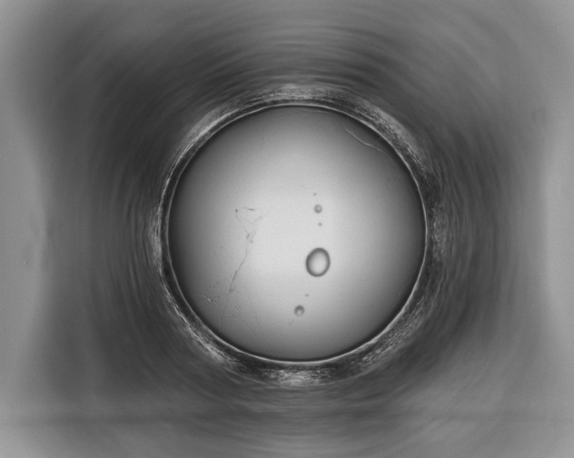 X0000116380794200912091413