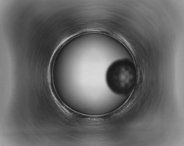 X0000116380795200912091413
