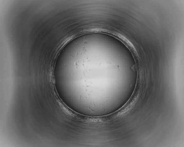 X0000116380801200912091413