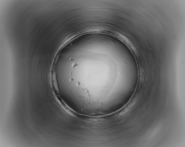 X0000116380802200912091413