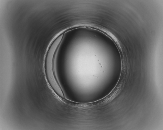 X0000116380807200912091413