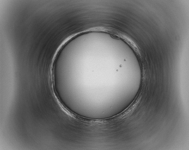 X0000116380808200912091413