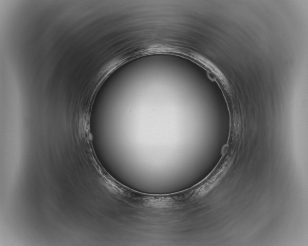 X0000116380809200912091413
