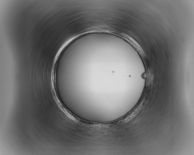 X0000116380812200912091413