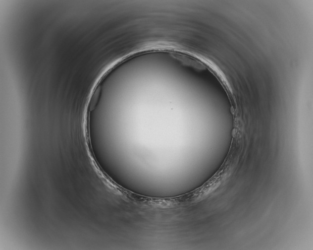 X0000116380815200912091413