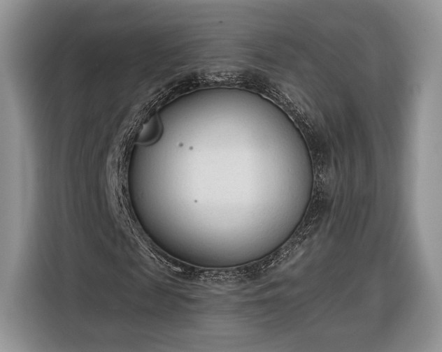 X0000116380817200912091412