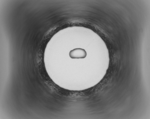 X0000116380824200912091413
