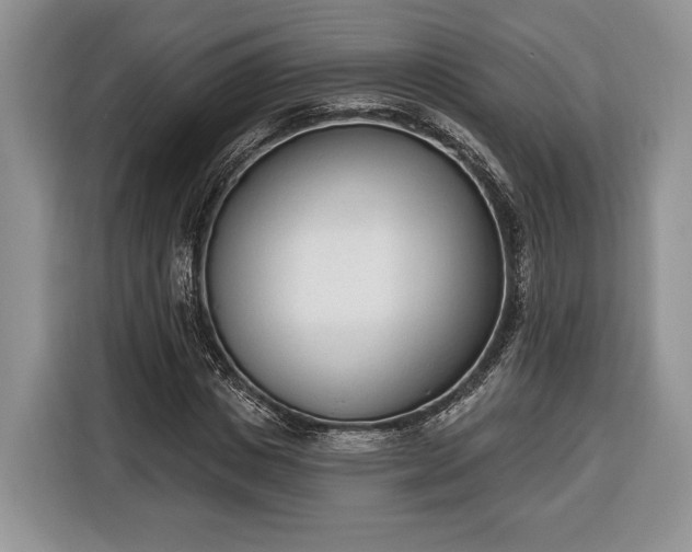 X0000116380825200912091413