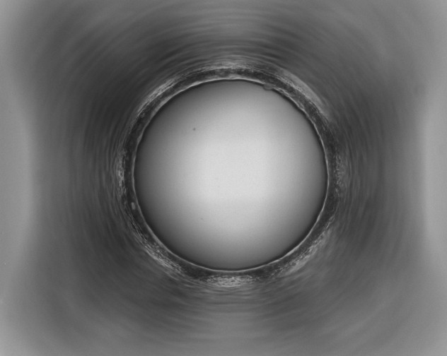 X0000116380826200912091413