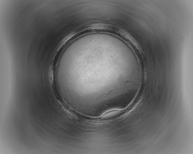 X0000116380829200912091413