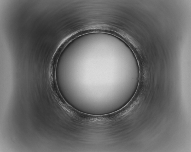 X0000116380830200912091413