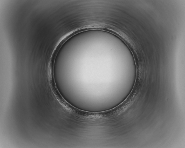X0000116380838200912091413