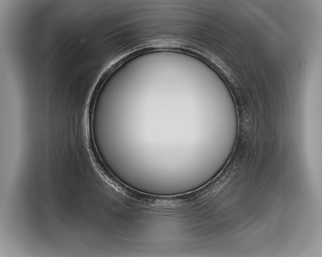 X0000116380840200912091413