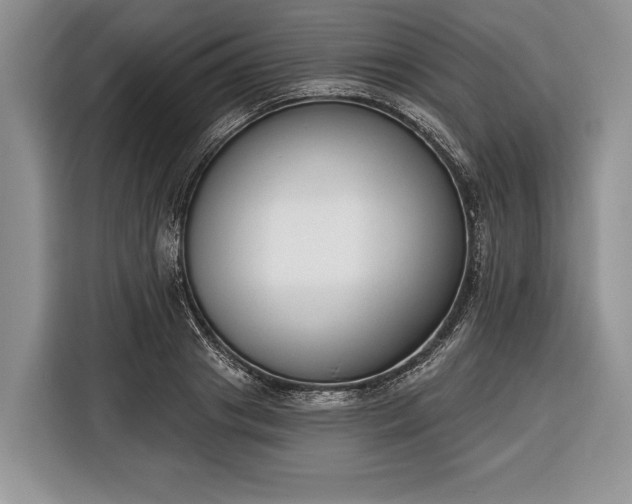X0000116380841200912091413