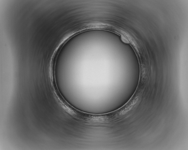 X0000116380843200912091413