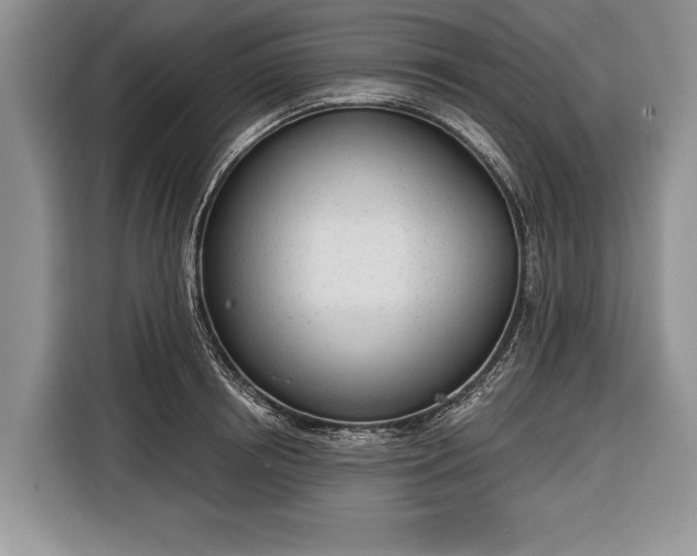 X0000116380850200912091413