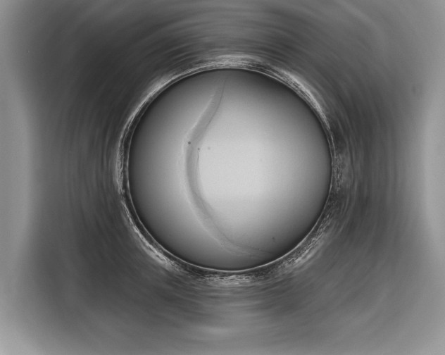 X0000116380851200912091413