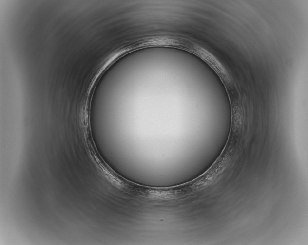 X0000116380852200912091413