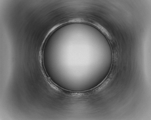 X0000116380854200912091413