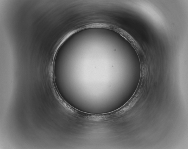 X0000116380860200912091413