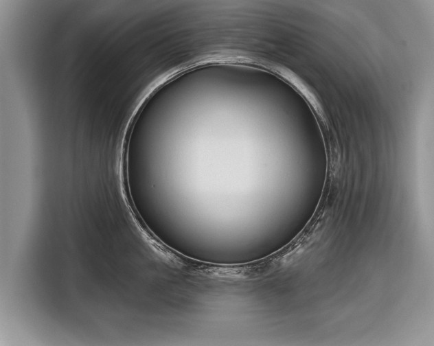 X0000116380861200912091413