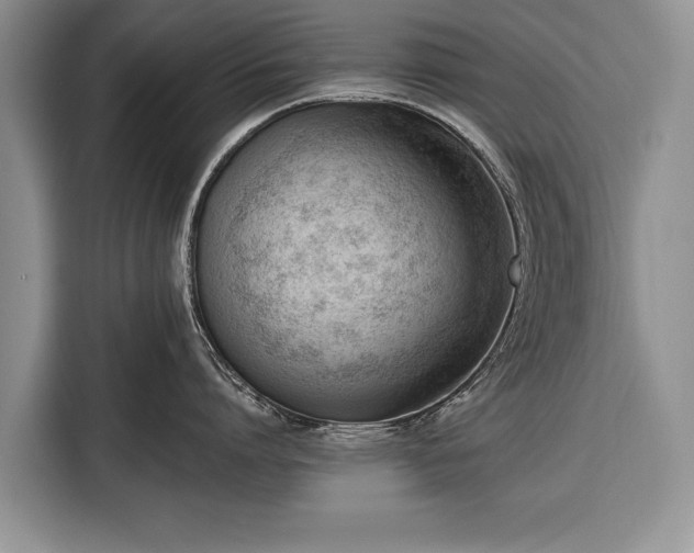 X0000116380864200912091413