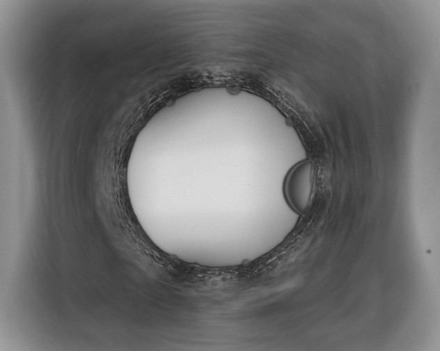 X0000116380865200912091412
