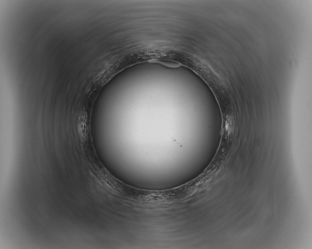 X0000116380867200912091412