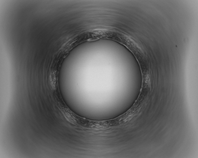 X0000116380868200912091412