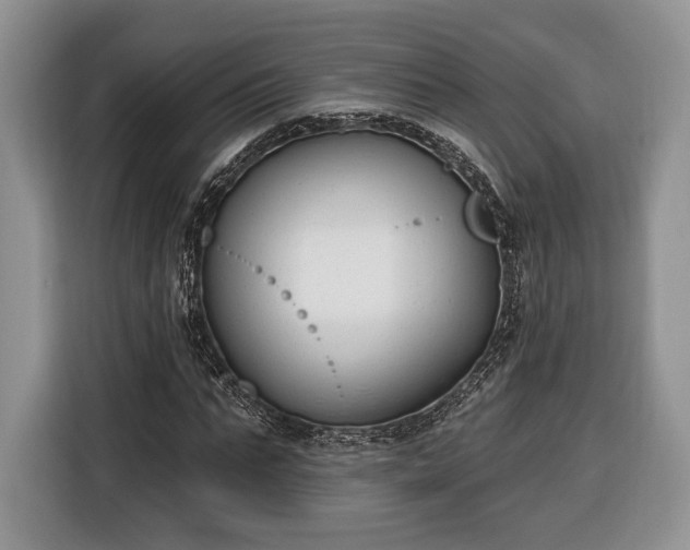 X0000116380871200912091412