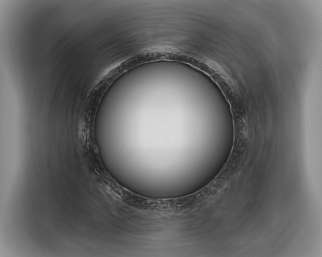 X0000116380872200912091412