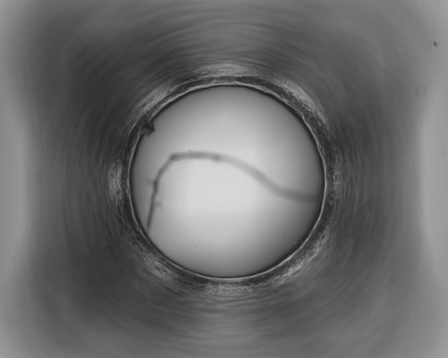 X0000116380873200912091412