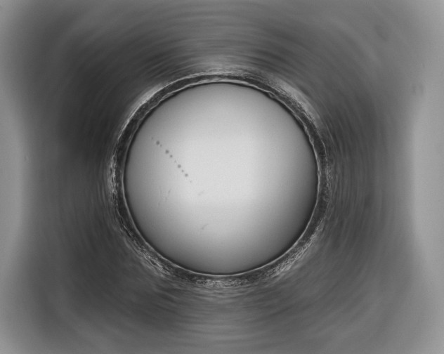 X0000116380875200912091412