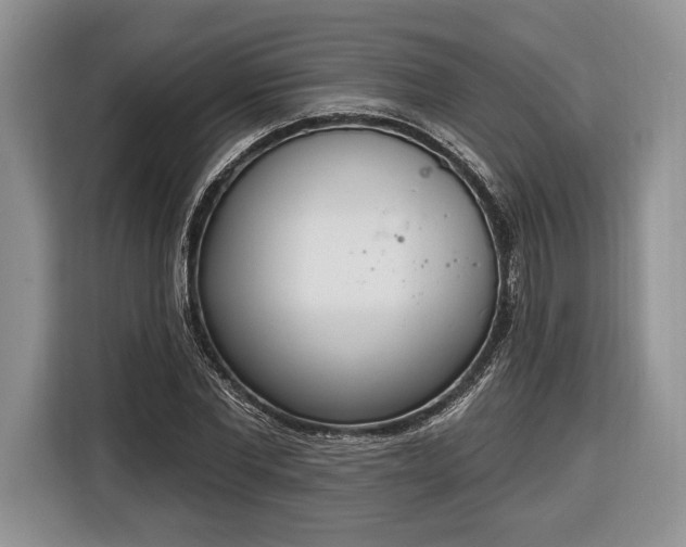 X0000116380877200912091412