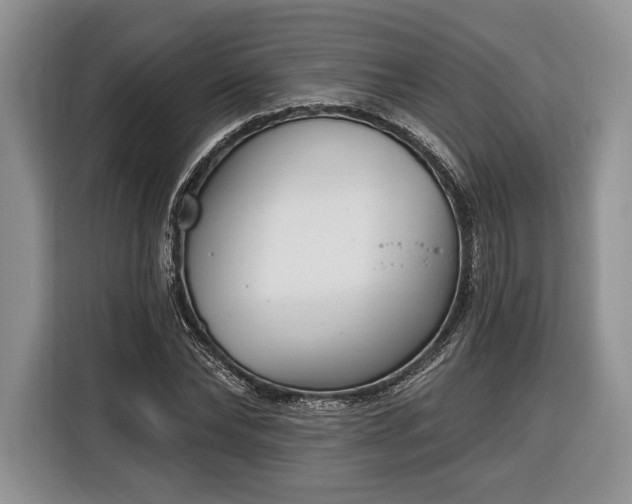 X0000116380878200912091412