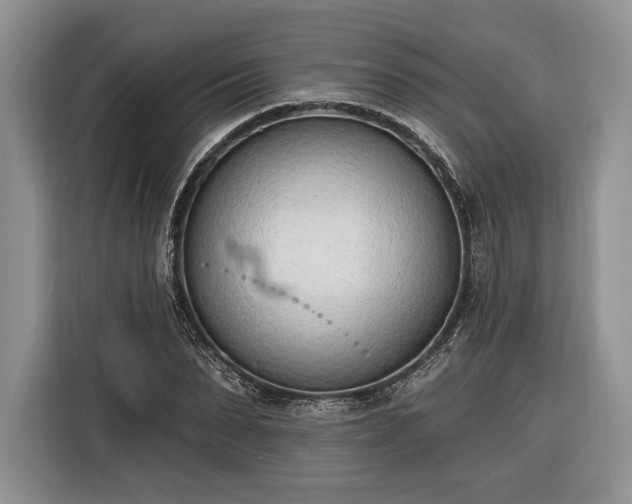 X0000116380879200912091412