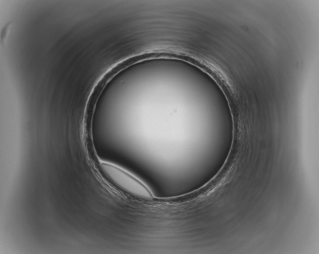 X0000116380880200912091412