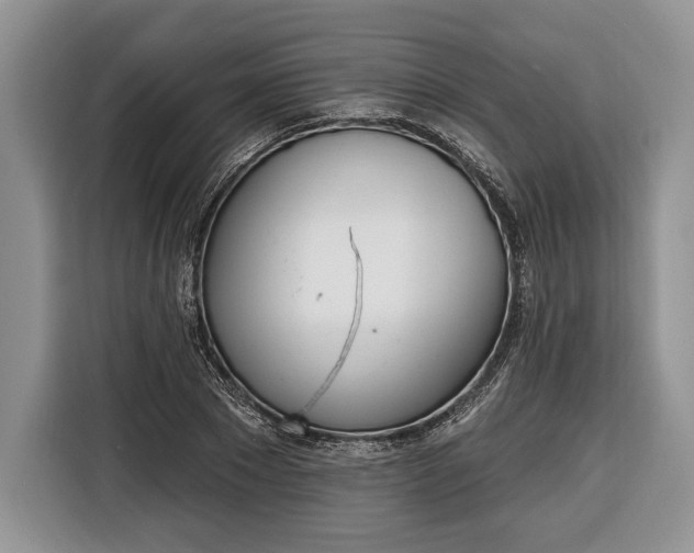 X0000116380881200912091412